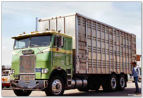 White Freightliner WFC